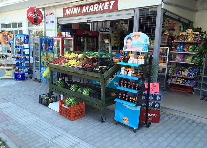 公寓式酒店 Nitsa